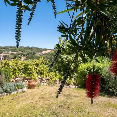 - Con Piscina E Parcheggio Privato ポルト・チェルボ